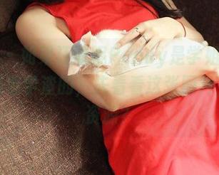 推女神 – 如果汪佩妮Penny是学姐，那我肯定是混学渣的；先看看这张图片，还有资源？